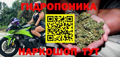 jwh Аргун