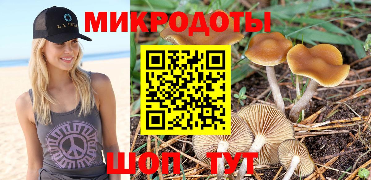 Псилоцибиновые грибы MAGIC MUSHROOMS  Галлюциногенные грибы Psilocybe  Алексеевка  Вход с VPN 